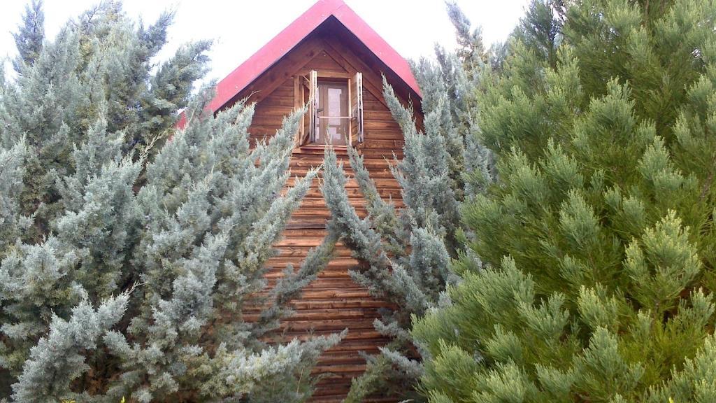Gasthaus El Muerdago De Canada Cañada del Hoyo Exterior foto