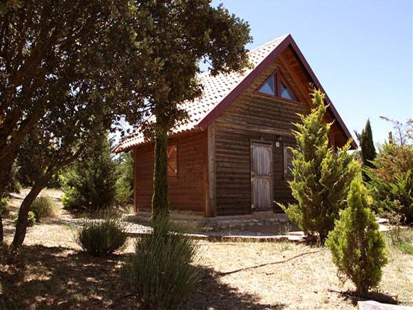 Gasthaus El Muerdago De Canada Cañada del Hoyo Exterior foto